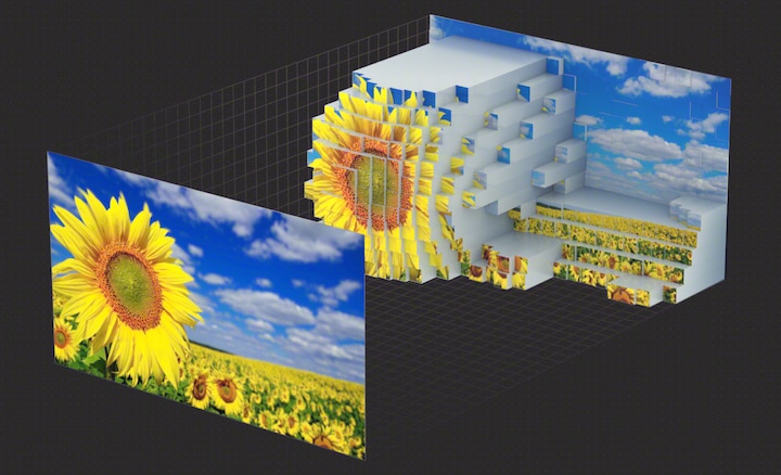 Two angled screen images, the screen on the left showing sunflowers in a field with part cloudy sky above, the screen on the right showing how Cognitive Intelligence analyses and generates the depth map of this scene to enhance depth and texture