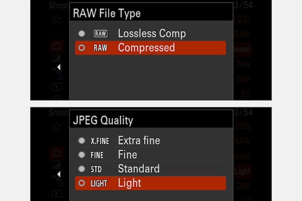 Camera LCD display screen: RAW Image selection screen