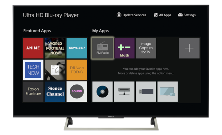 BRAVIA TV interface